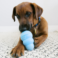 KONG  Snacks Hundesnack Puppy Welpen mit Lachs für KONG L