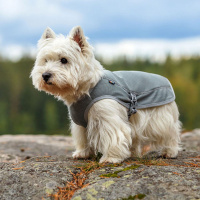 Rukka Pets Kühlweste in grau  XS