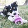 KONG  Puppy Binkie S 12 cm x 6,3 cm S in pink