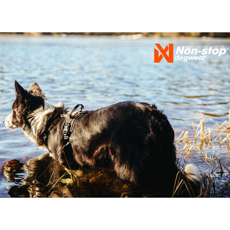 Non-stop dogwear Rock Brustgeschirr Hundegeschirr leicht und atmungsaktiv