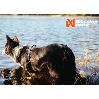 Non-stop dogwear Rock Brustgeschirr Hundegeschirr leicht...
