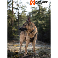 Non-stop dogwear Rock Brustgeschirr Hundegeschirr leicht und atmungsaktiv S