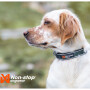Non-stop dogwear Roam Halsband gepolstert und verstellbar in grün XS  32-36 cm