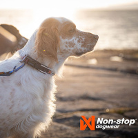 Non-stop dogwear Roam Halsband gepolstert und verstellbar in grün XL  50-55 cm