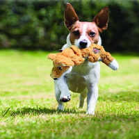 KONG Scrunch Knots Raccoon Waschbär M/L  ca. 39cm