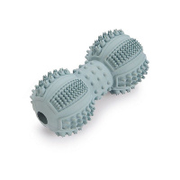 Beeztees Puppy Dental Welpen Hantel  mint