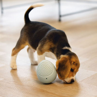 Beeztees Puppy Snack Ei für Welpen mint mint  10 x 8 cm groß