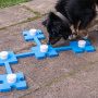 Schnüffelspaß für Spürnasen Hundetraining Dog Agility in blau