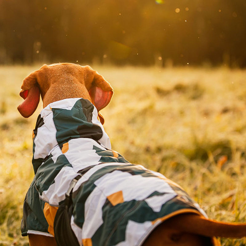 Rukka Pets Wintermantel Stormy Camo Camouflage 45