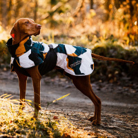 Rukka Pets Wintermantel Stormy Camo Camouflage 55