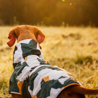 Rukka Pets Wintermantel Stormy Camo Camouflage 65