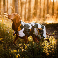 Rukka Pets Wintermantel Stormy Camo Camouflage 65