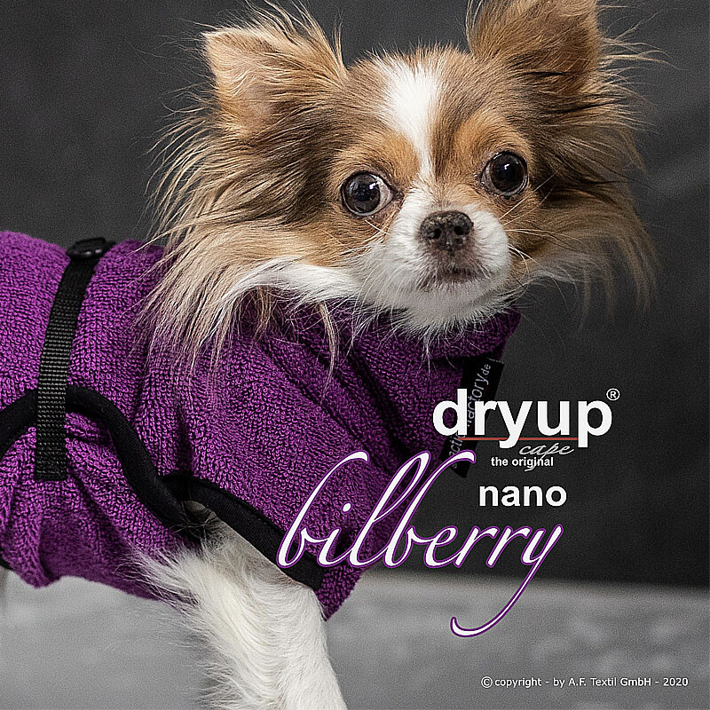 DryUp Trocken Cape Bademantel NANO für ganz kleine Hunde in bilberry lila violett 25cm Rückenlänge