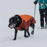Ruffwear Vert Hundemantel in Canyonlands Orange rot XL -  91-107cm Brust