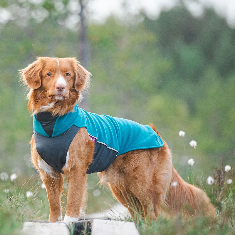 Pomppa Jumppa Fleece Pullover JumppaPomppa in petrol