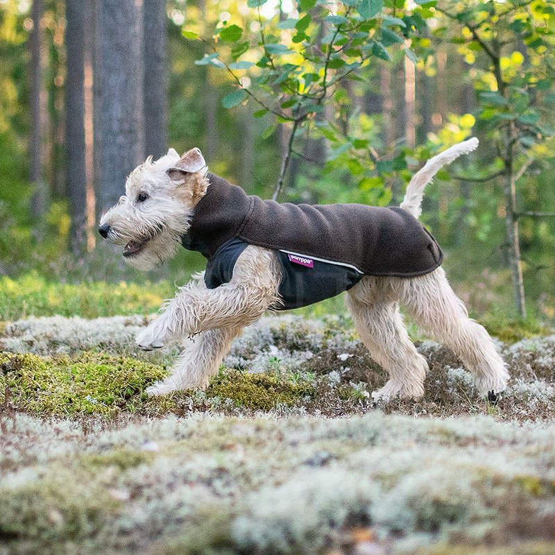 Pomppa Jumppa Fleece Pullover JumppaPomppa in petrol