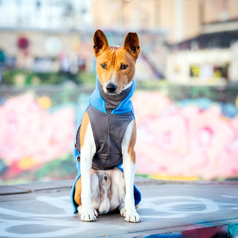 Pomppa Jumppa Fleece Pullover JumppaPomppa in petrol