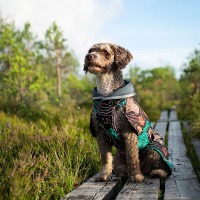 Pomppa Sade Regenmantel SadePomppa in petrol Größe 25