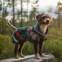 Pomppa Sade Regenmantel SadePomppa in Orange