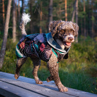 Pomppa Sade Regenmantel SadePomppa in Orange Größe 25