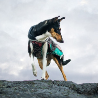 Pomppa Kevyt gefütterter Regenmantel KevytPomppa in petrol 25