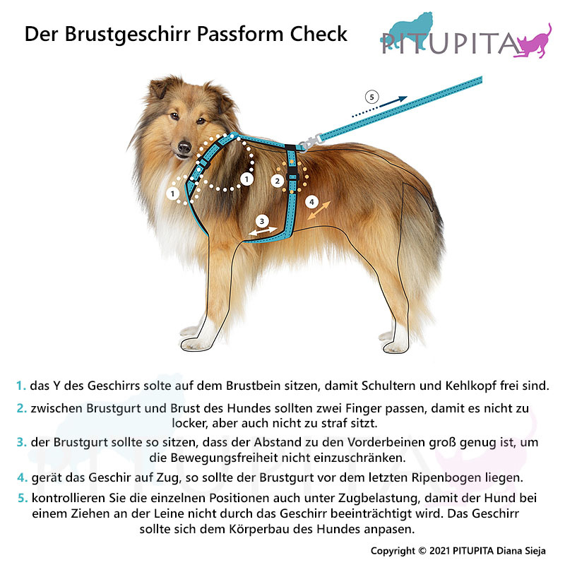 Non-stop dogwear Line 5.0 Brustgeschirr Hundegeschirr in purple lila violett 8  Brust 67-102 cm