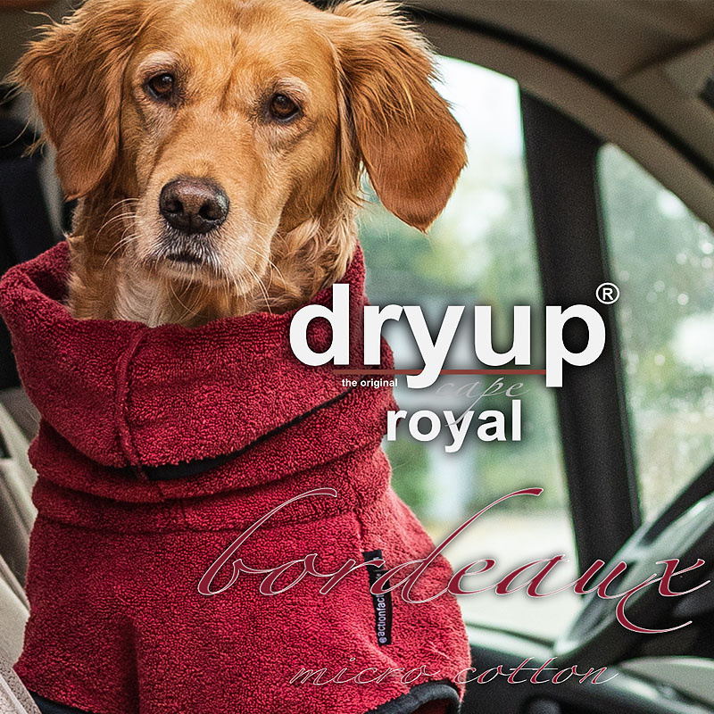DryUp Trocken Cape Bademantel für Hunde in bordeaux dunkelrot Royal Premium