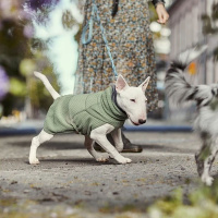 Hurtta Razzle Dazzle Pullover  Wendejacke Grau-grün 35