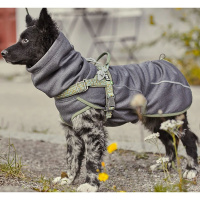 Hurtta Razzle Dazzle Pullover  Wendejacke Grau-grün 55