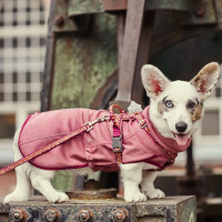 Hurtta Razzle Dazzle Pullover  Wendejacke Rosa-altrosa 60