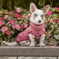 Hurtta Razzle Dazzle Pullover  Wendejacke Rosa-altrosa 60