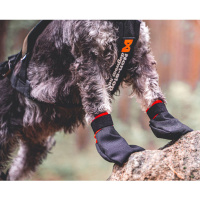 Non-stop dogwear Booties Solid Schuhe Pfotensocken in schwarz 4-er Pack XS  3-4 cm