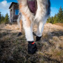 Non-stop dogwear Booties Solid Schuhe Pfotensocken in schwarz 4-er Pack XS  4-5 cm