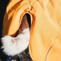 Hurtta Wintermantel Expedition Parka in orange 45XS für Dackel