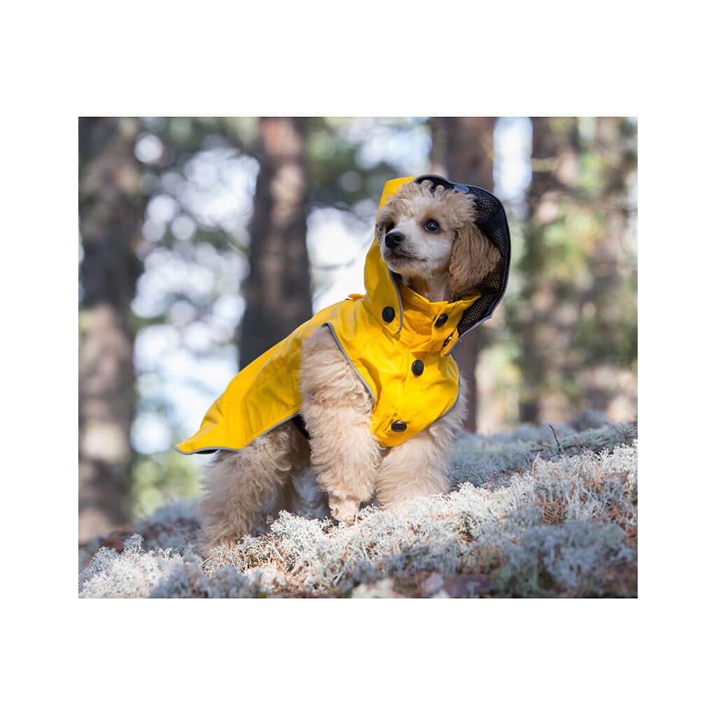 amazone kratzbaum Designer Kratzbaum 186 cm hoch & schmal mit Katzenkrbchen  XXOO PETS  FAMILY