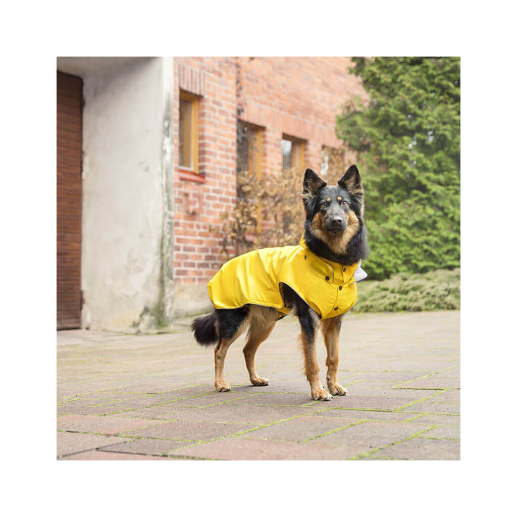 anny x Geschirr schwarz pink FUN günstig kaufen, 43,10 €