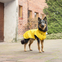 Rukka Pets Regenjacke Regenmantel Stream in gelb 25 cm