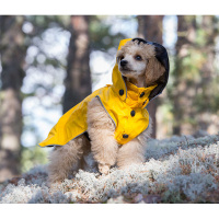 Rukka Pets Regenjacke Regenmantel Stream in gelb 75 cm