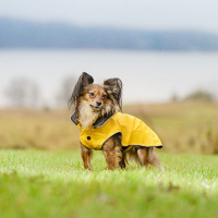Rukka Pets Regenjacke Regenmantel Stream in gelb 75 cm