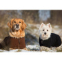 WarmUp Cape CLASSIC Mantel MINI für kleine Hunde in dunkel blau