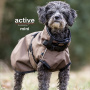 Active Cape light mini Mantel Übergangsmantel für kleine Hunde in braun