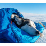 Non-stop dogwear Ly Schlafsack  für deinen Hund Outdoor Hundebett  in blau L