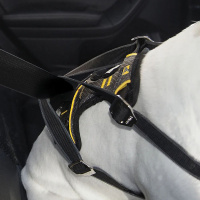 Kurgo Impact Autogeschirr in der Farbe schwarz gelb L