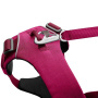 Ruffwear Front Range Leine Hundeleine in Hibiscus Pink neue Ausführung