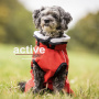 Active Cape light mini Mantel Übergangsmantel für kleine Hunde in rot