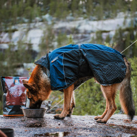 Non-stop Dogwear Regenmantel Beta Pro Raincoat in blau Größe 27 | 22-25 cm