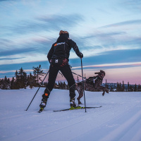 Non-stop dogwear Laufgurt Leinengurt Loype Belt