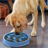 Outward Hound Anti Schling Napf Notch in blau M - medium ø 21cm