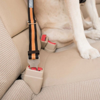 Kurgo Autogurt Autoanschnaller für den Hund in schwarz orange