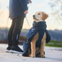 Non-stop Dogwear Glacier Wool Jacket 2.0 Wintermantel Größe 45 | 42-48 cm grau oliv